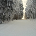 Cesta na Peknú vyhliadku