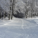 Cesta k lanovke od kasy