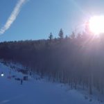 51456769_423707754862319_8488511443270893568_n