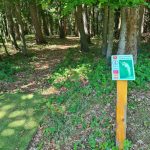 hole04