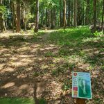 hole05