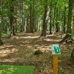 hole07