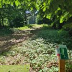 hole09a