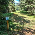 hole10a